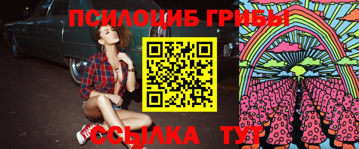 Галлюциногенные грибы мицелий Белово